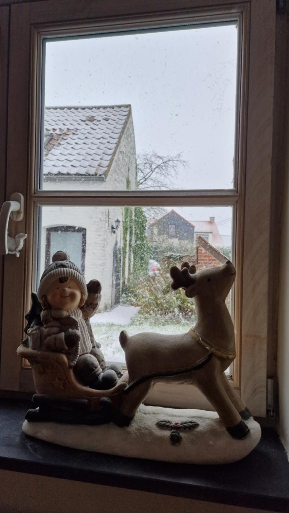 La Bergerie Chambre D'Hotes Leuze-en-Hainaut エクステリア 写真